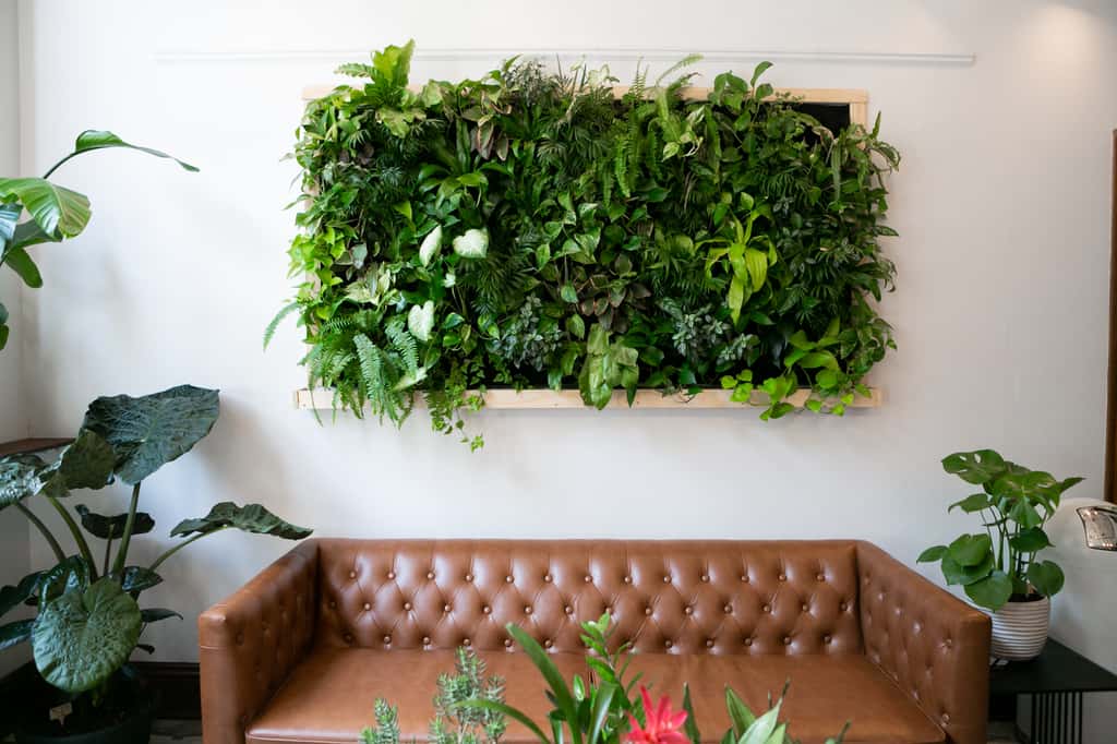 Un mur végétal pour étouffer les bruits ? Excellente idée ! © Deidre, Adobe Stock