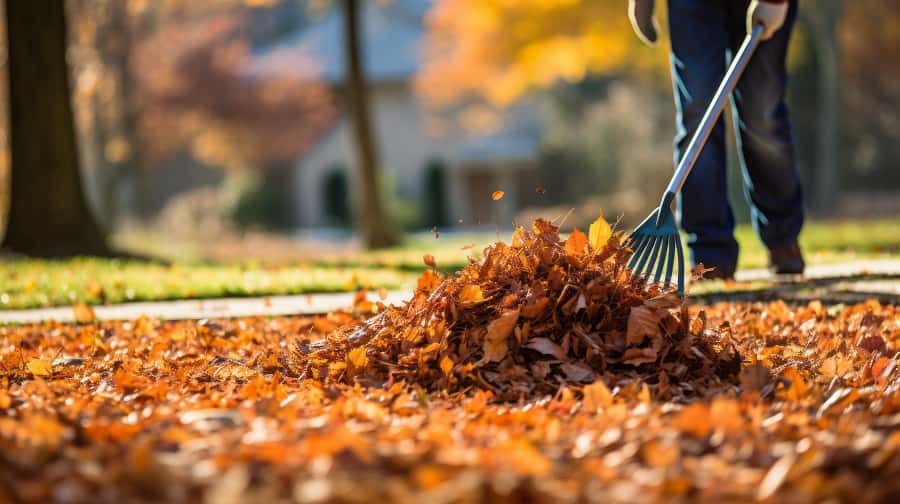 Enlever les feuilles d'automne de votre pelouse 