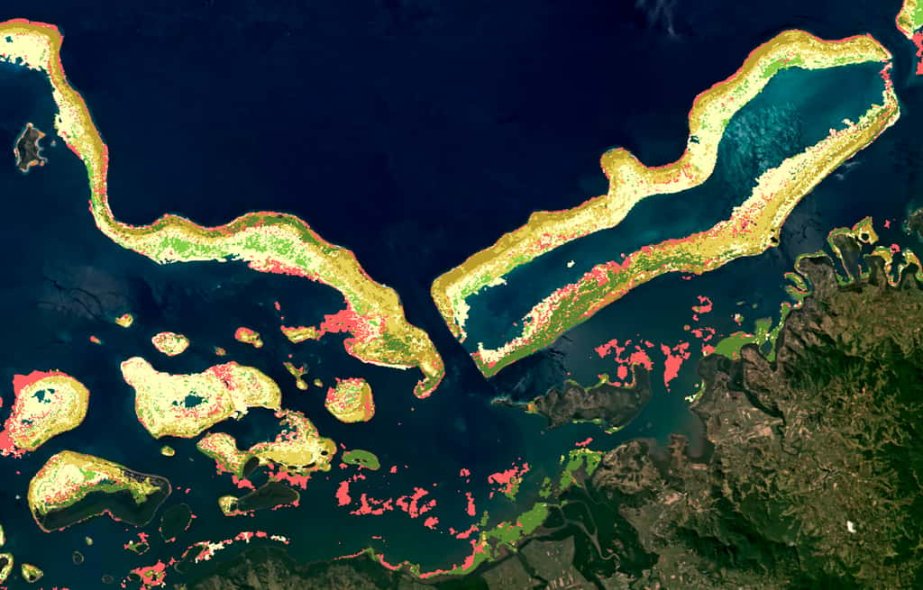 Carte benthique des récifs coralliens au large de Labasa, la plus grande ville de l'île de Vanua Levu aux Fidji. Ce type de carte modélise la présence du corail, des microalgues, de la roche, de débris, de sable et d’herbiers marins. © Planet, Allen Coral Atlas