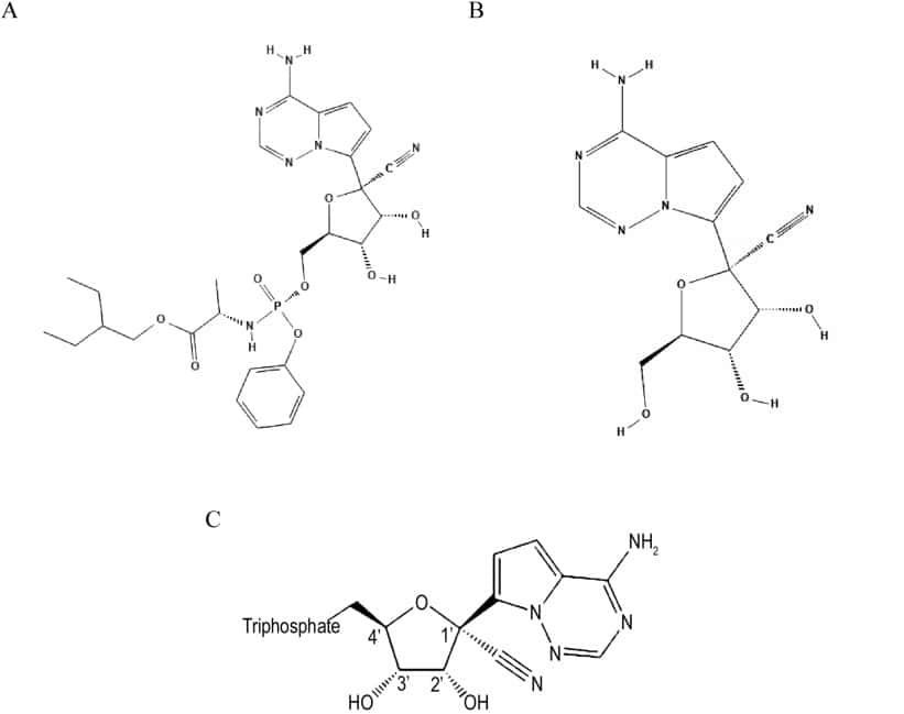 Les structures chimiques de a) Remdesivir; b) GS-441524 c) le métabolite triphosphaté .© PubChem Database