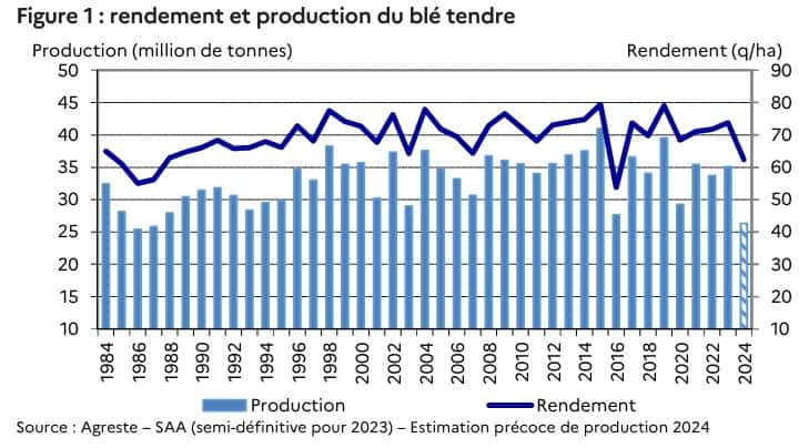 Le rendement de blé tendre en 2024 est le plus faible enregistré après 2016. © Agreste, SAA