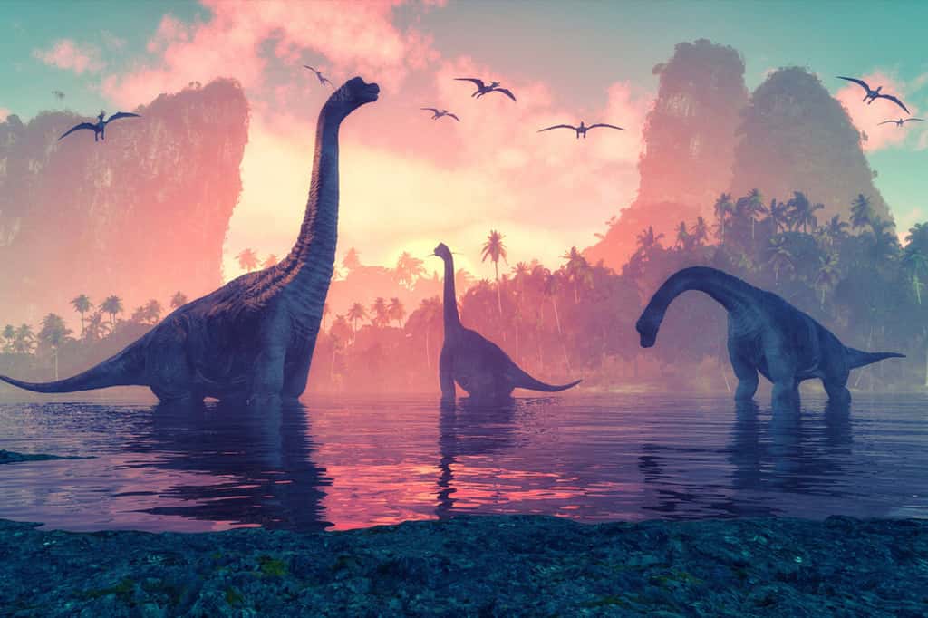 Oui, les mâles dinosaures se trémoussaient pour séduire : les chercheurs ont découvert une « discothèque fossile », véritable piste de danse nuptiale ! © Orla, iStock