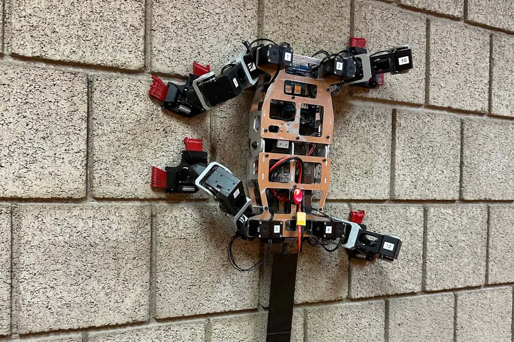 Voici Loris, un robot quadrupède muni de griffes qui lui permettent d’escalader toutes sortes de parois verticales. © Université Carnegie Mellon