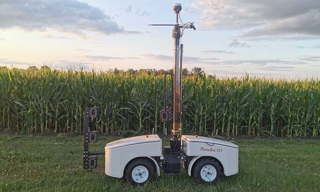 Ce PhenoBot 3.0 est équipé pour mesurer l’inclinaison des feuilles du maïs. © Université d'État de Caroline du Nord