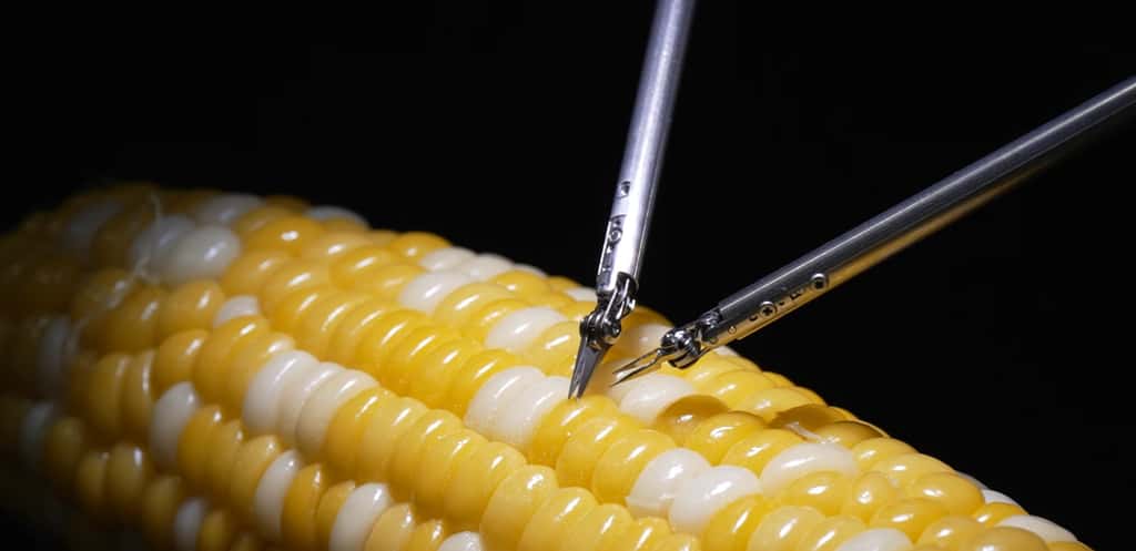 Le robot de microchirurgie de Sony est suffisamment précis pour réaliser des points de suture sur un grain de maïs. © Sony