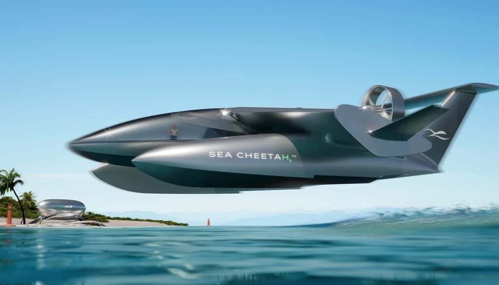 Concept du Sea Cheetah. © Sea Cheetah, tous droits réservés