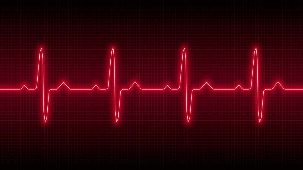 L'électrocardiographie mesure l'activité électrique du cœur avec une résolution de l'ordre de la milliseconde. © Vladislav Vasiullin, Fotolia