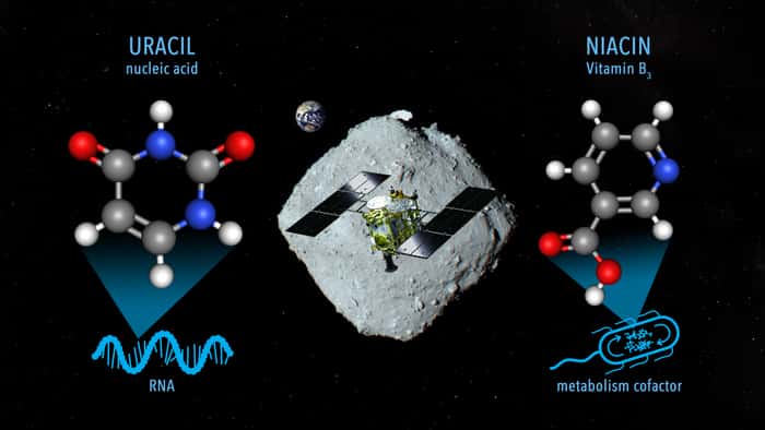 Un montage d'artiste pour l'échantillonnage de matériaux sur l'astéroïde Ryugu contenant de l'uracile et de la niacine par le vaisseau spatial Hayabusa-2. © Nasa Goddard, Jaxa, Dan Gallagher