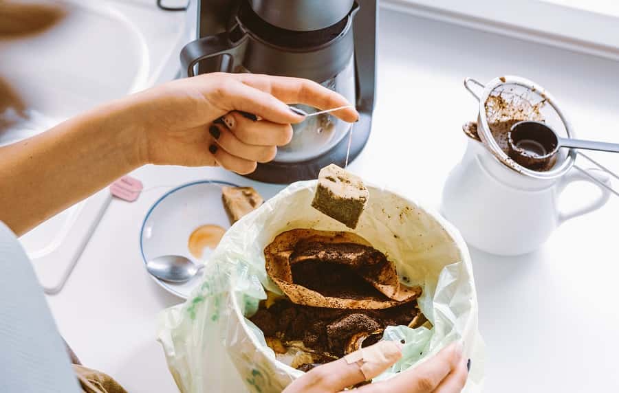 Recycler le marc de café et les sachets de thé pour le jardin. © larisikstefania, Adobe Stock