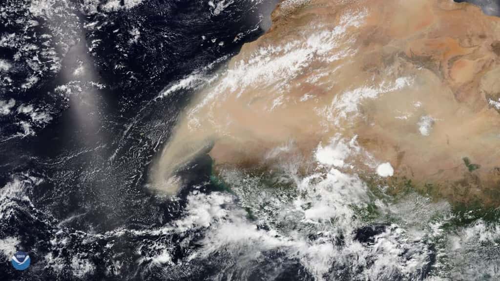 Nuage de sable du Sahara se déplaçant vers l'ouest, le 7 juin 2020. © Satellite de NOAA