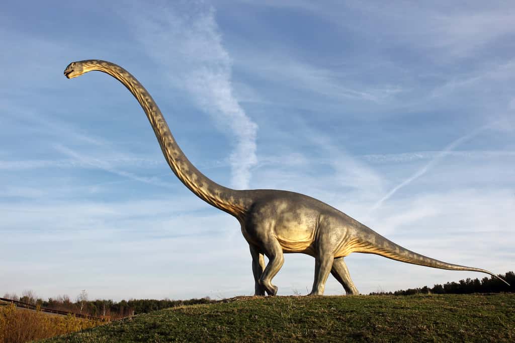 Vue d'artiste d'un sauropode. © Adobe Stock