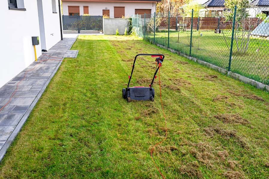 Pelouse en cours de scarification. © Michal, Adobe Stock