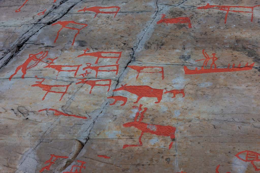 Et si le mur retrouvé au fond de la Baltique avait servi aux chasseurs-cueilleurs pour chasser les rennes ? Ici une scène de chasse représentée sur le site des gravures rupestres d'Alta en Norvège. © martinhlavacek79, Adobe Stock