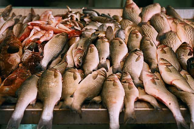 Les pesco-végétariens peuvent consommer du poisson. © Gregg Tit Con, <em>Wikimedia commons,</em> CC by 2.0
