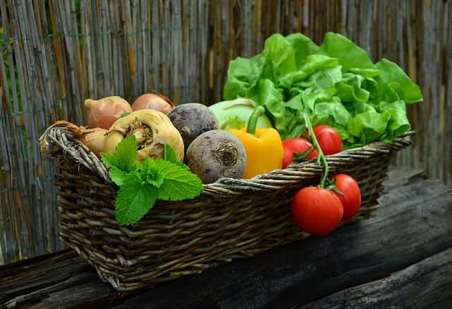À chaque saison ses légumes. © Congerdesign, Pixabay, DP