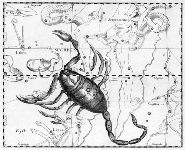 L'astronome Johannes Hevelius a dessiné la constellation dans Uranographia, son catalogue céleste en 1690. Scanné par Torsten Bronger 4 avril 2003. © Domaine public, <em>Wikimedia Commons</em>