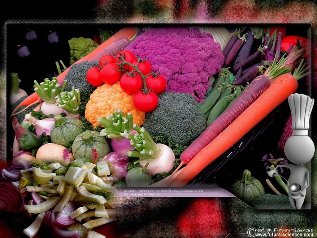 Panier de légumes, carotte, chou, courgette