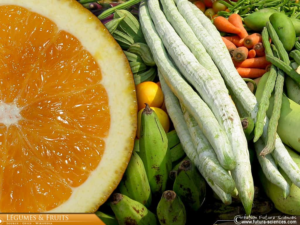 Légumes et fruits