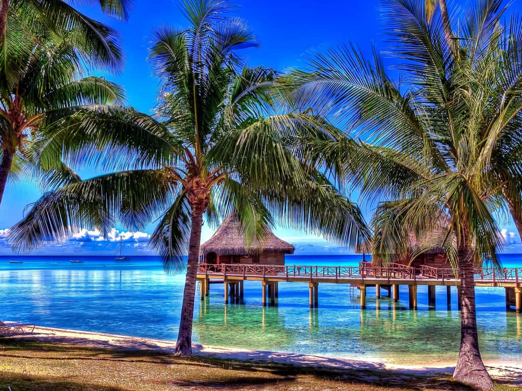 Paysage de Polynésie