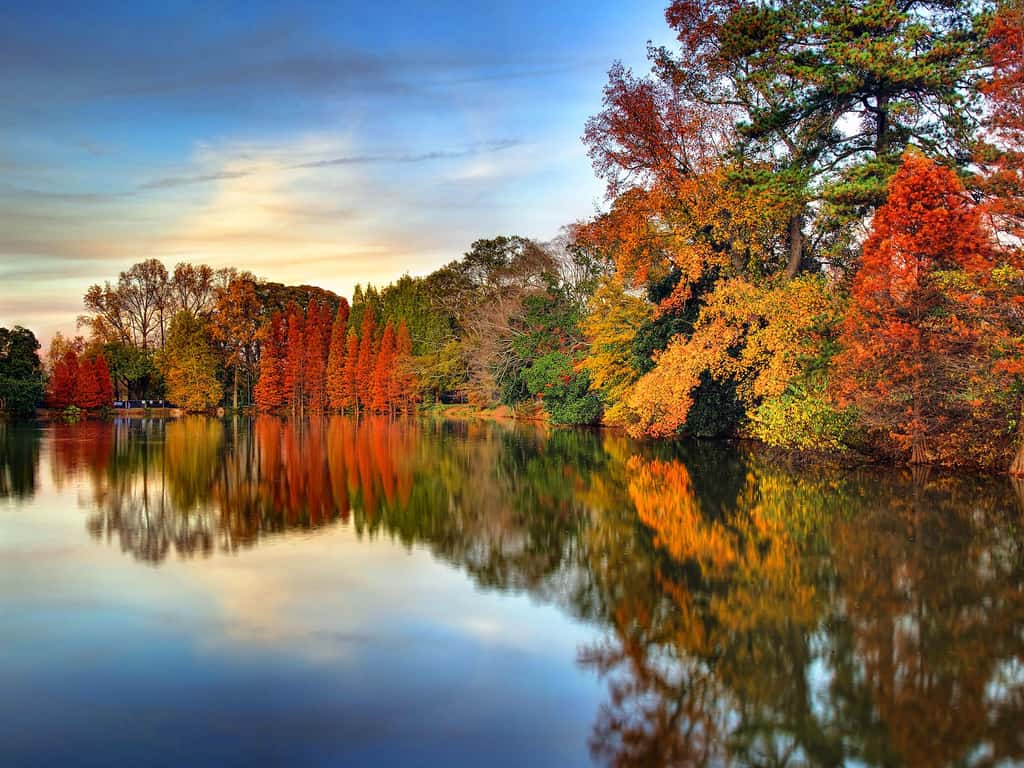Automne sur le Lac Clara Meer - Atlanta