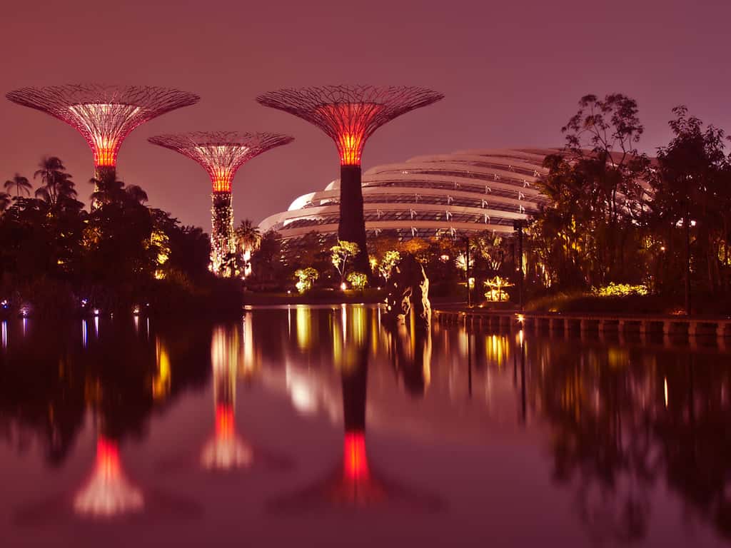 Singapour : « Gardens by the Bay » un modèle de biodiversité, de technologies vertes