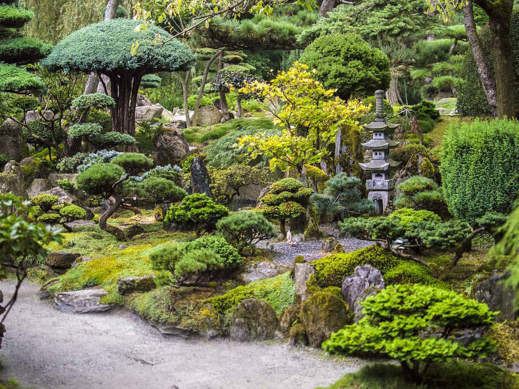 Au Japon, l’aménagement de jardins est un art important et respecté