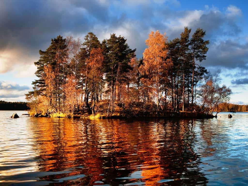 Lac Vuoska en automne