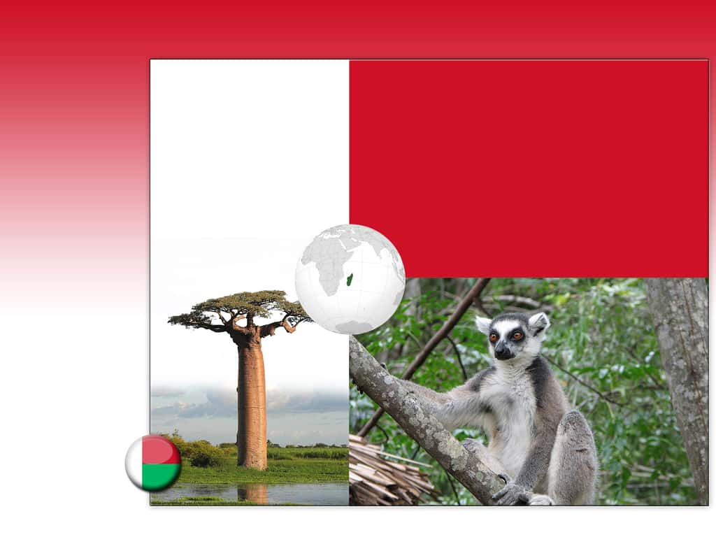 Drapeau : Madagascar