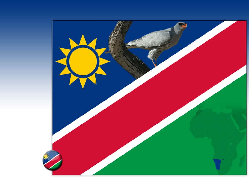 Drapeau : Namibie