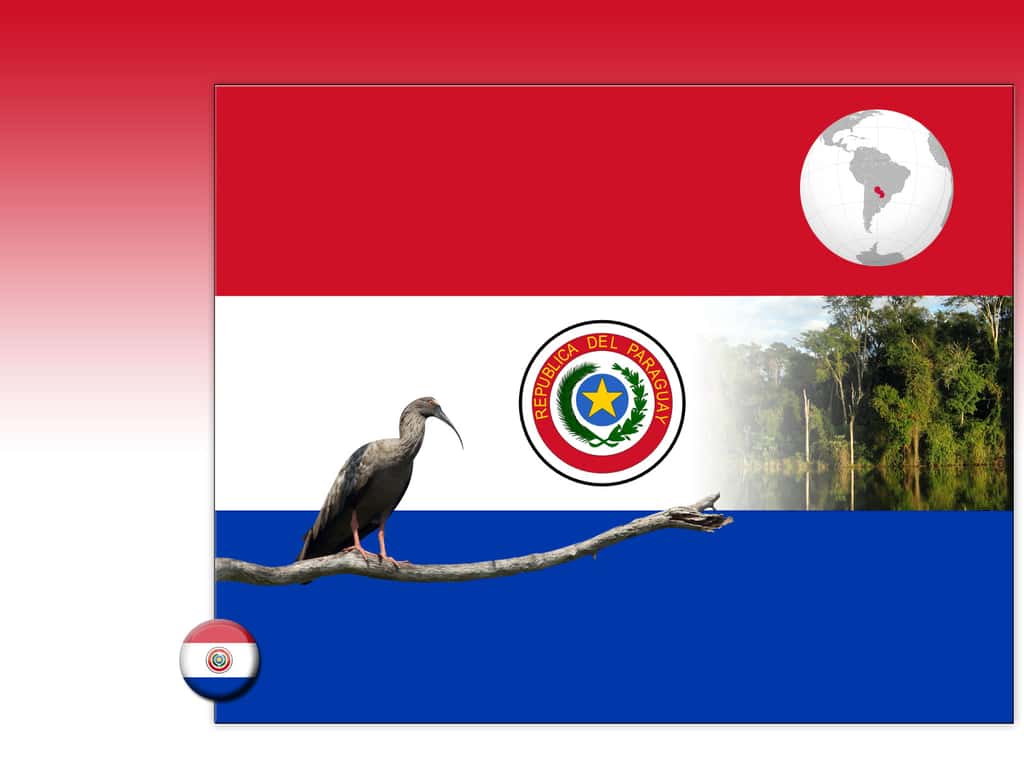 Drapeau : Paraguay