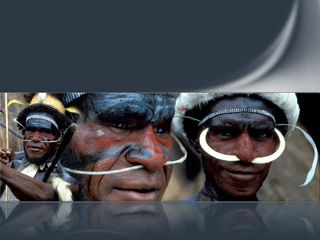 Hommes de la tribu Dani en costume traditionnel (Nouvelle-Guinée indonésienne)