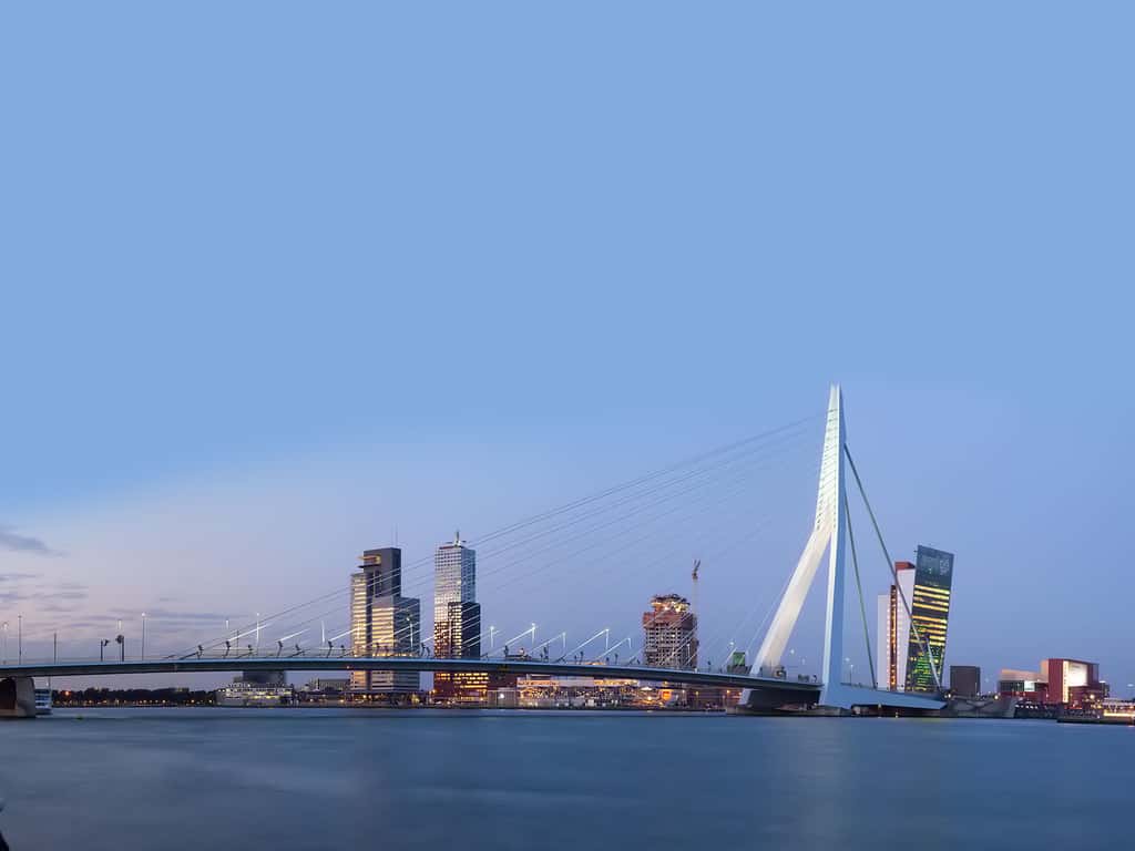 Eramus Bridge Rotterdam