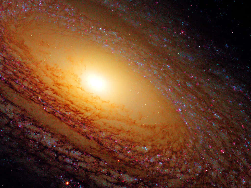 NGC 2841 galaxie spirale