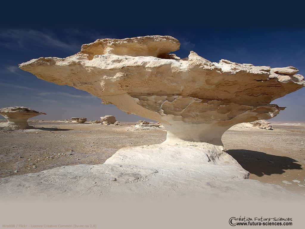 Sculpture du désert