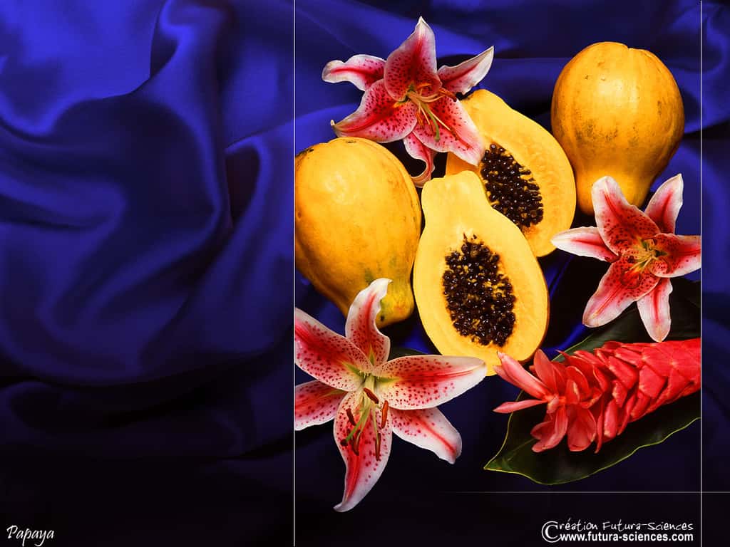 Fruit exotique : Papaye