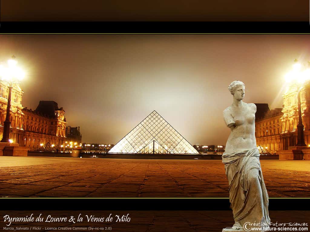 France - Paris - Musée du Louvre