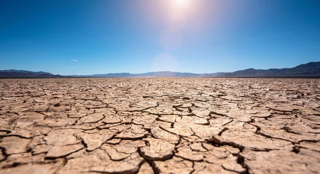 La sécheresse dure depuis 6 ans au Maroc, mais elle s'est nettement aggravée en un an. © AA+W, Adobe Stock