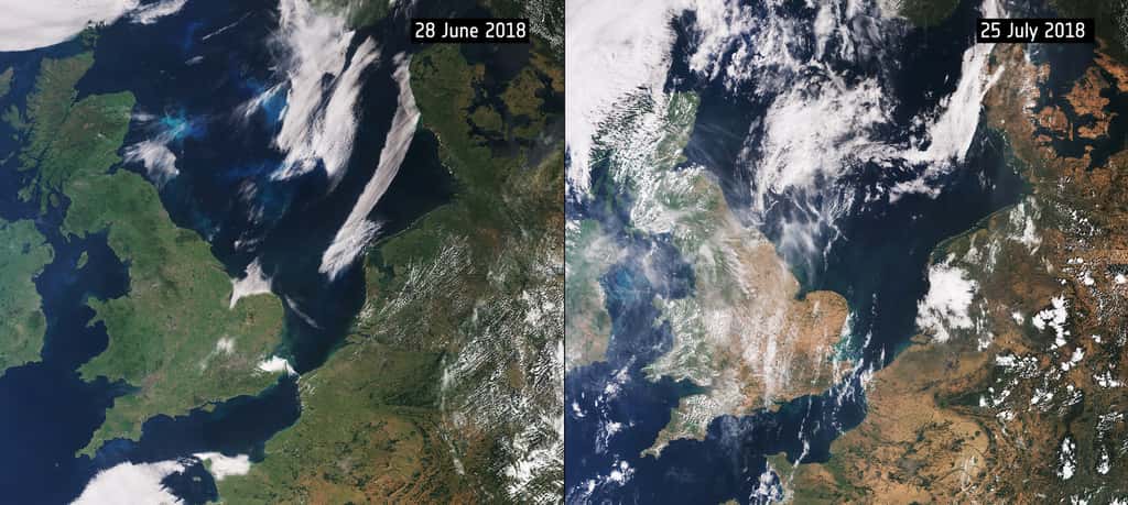 Sur ces images du satellite Sentinel-3 prises les 28 juin et 25 juillet 2018, on peut voir les effets de la sécheresse sur le nord de la France et ses voisins le Royaume-Uni, la Belgique, les Pays-Bas, le Danemark… En un mois, ils sont passés d’un vert léger, au début de l’été, au jaune fin juillet. © Copernicus, ESA