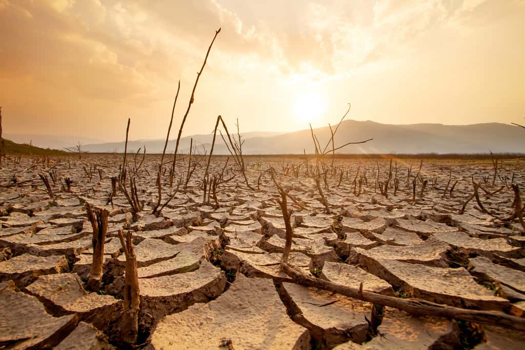 Les conséquences du phénomène El Niño se produiront en 2024, avec une accentuation de la chaleur mondiale menant à de nouveaux records. © piyaset, Adobe Stock