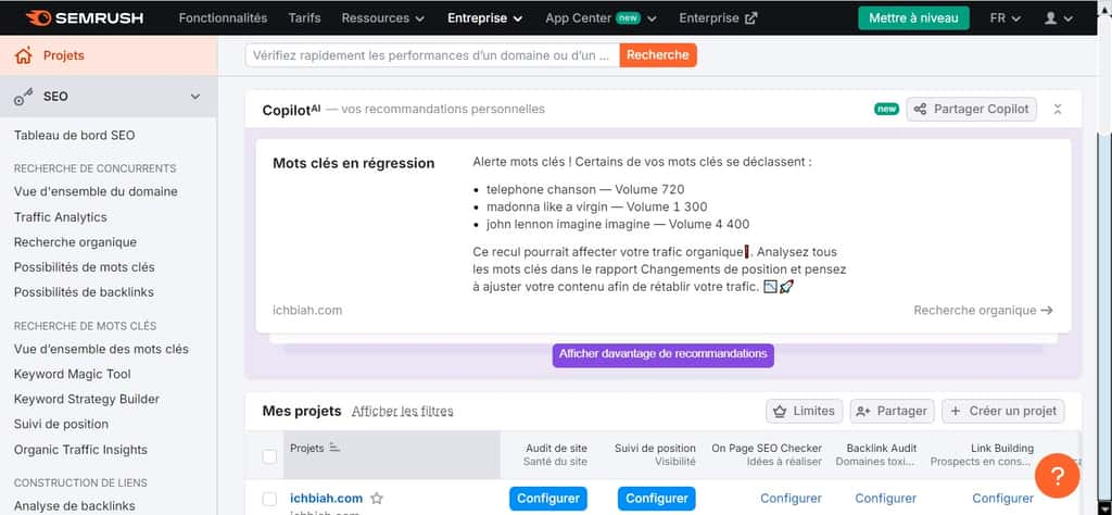 Semrush Copilot commence par nous indiquer trois types de mots-clés qui amenaient auparavant votre site à être bien classé et qui subissent une baisse de performance. © Semrush