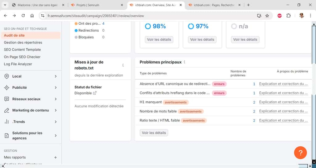 Les principaux problèmes à résoudre. © Semrush