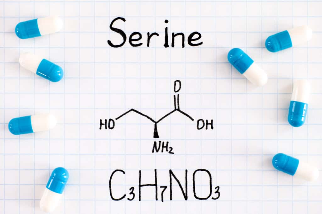 La sérine est un acide aminé important pour le système nerveux. Elle est aussi vendue comme complément alimentaire « <em>booster</em> » de cerveau. © rosinka79, Adobe Stock