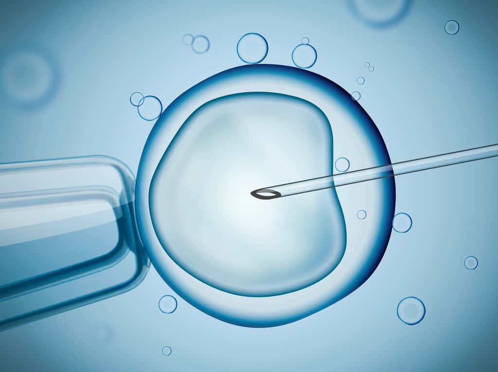 La fécondation in vitro s’est développée dans la plupart des pays étudiés. Elle accroît le risque de naissances gémellaires à cause du nombre d’embryons transférés dans l’utérus de la mère. © vchal, Shutterstock