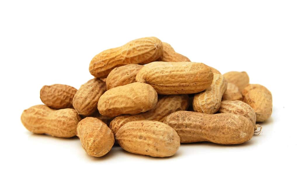 Les allergies alimentaires, dont celle à la cacahuète, se sont beaucoup développées au cours des dernières années. La faute à un excès d’hygiène ou à l'alimentation ? © Hong Vo, Shutterstock
