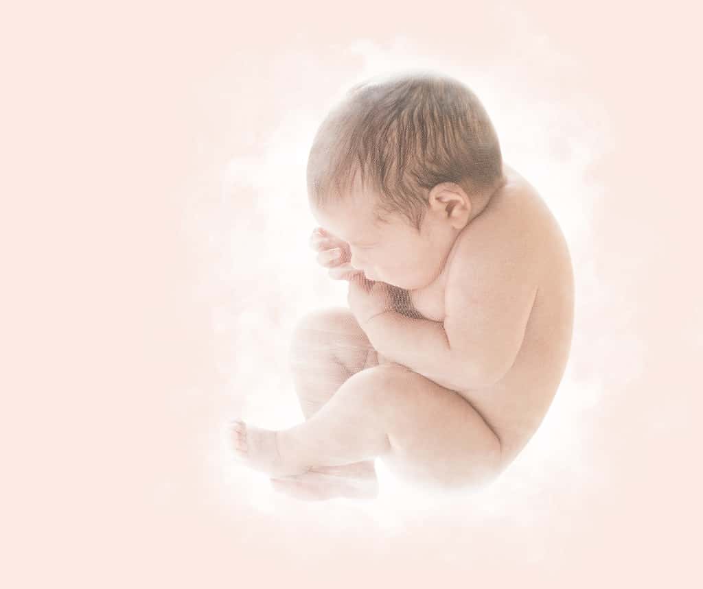 Le génome humain synthétique pourrait permettre de créer des embryons sans parents biologiques. © Inara Prusakova, Shutterstock