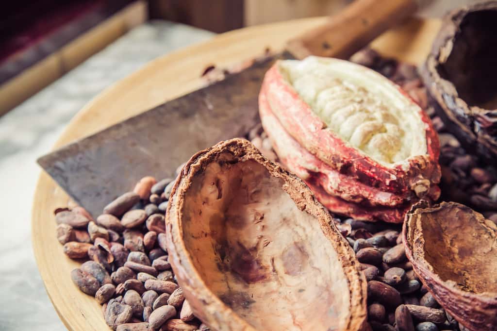 Les fèves de cacao apportent des flavanols. © <em>Verity Snaps Photography</em>, Shutterstock