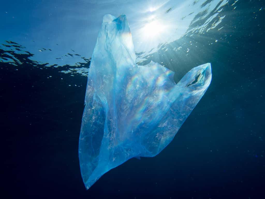 À partir du premier juillet 2016, les sacs plastiques seront interdits dans les magasins. Un pas pour limiter les pollutions. © magnusdeepbelow, Shutterstock