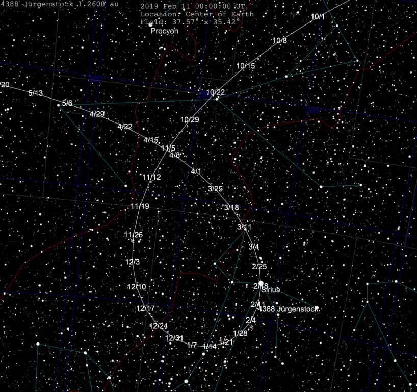 Trajectoire de l'astéroïde 4388 Jürgenstock dans le ciel entre le 10 janvier et le 20 mai 2019. Il devrait passer devant Sirius dans la nuit du 18 au 19 février. © Tomruen, <em>Wikimedia Commons</em>, CC By-SA 4.0