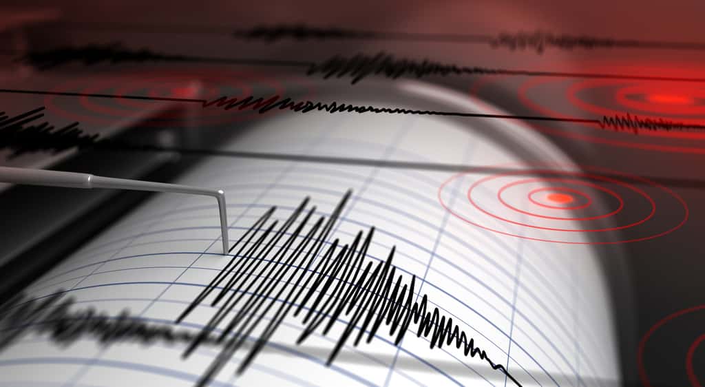 Le sismographe, un appareil de mesure permettant de capter les mouvements du sol. © Petrovich12, Adobe Stock