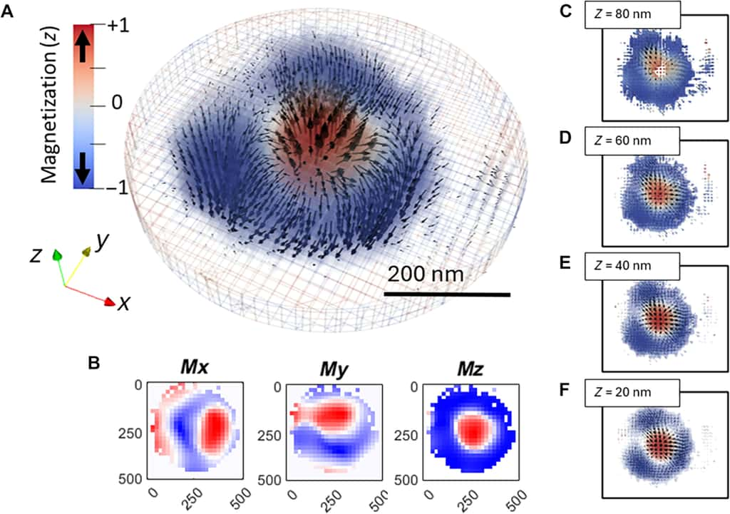 L’image en trois dimensions d’un skyrmion magnétique obtenue par des chercheurs américains et suisses. © Berkeley Lab